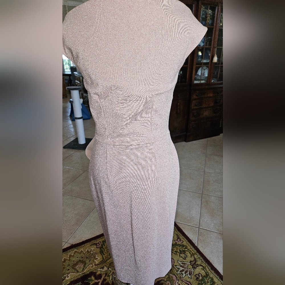 Chiara Boni La Petite Robe Melania Sugar Metallic Sheath Dress Size 44 (8) - Picture 4 of 13